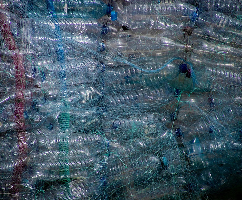 REDDY’s Recycled Nylon